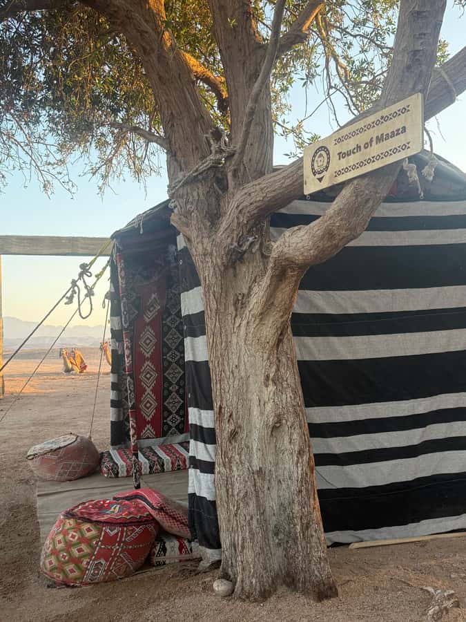 Makadi Bay: BADU Luxury Bedouin Dinner Experience & Stargaze - From Makadi Bay to the desert: pickup that actually works