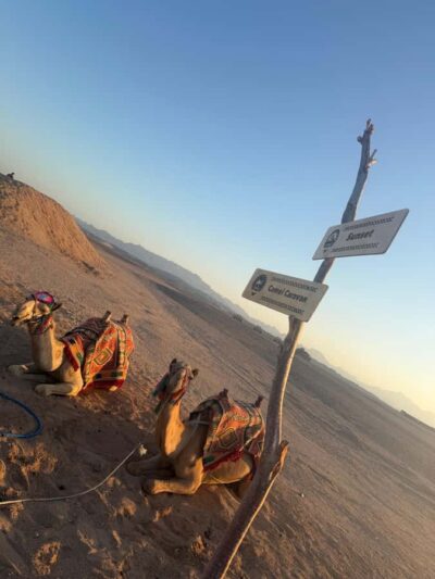 BADU Luxury Bedouin Dinner Experience & Stargaze