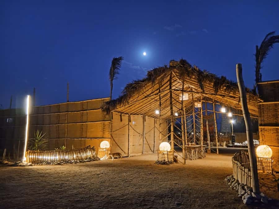 Makadi Bay: BADU Luxury Bedouin Dinner Experience & Stargaze - Stargazing in Makadi Bay desert: reading the sky with an astronomy guide