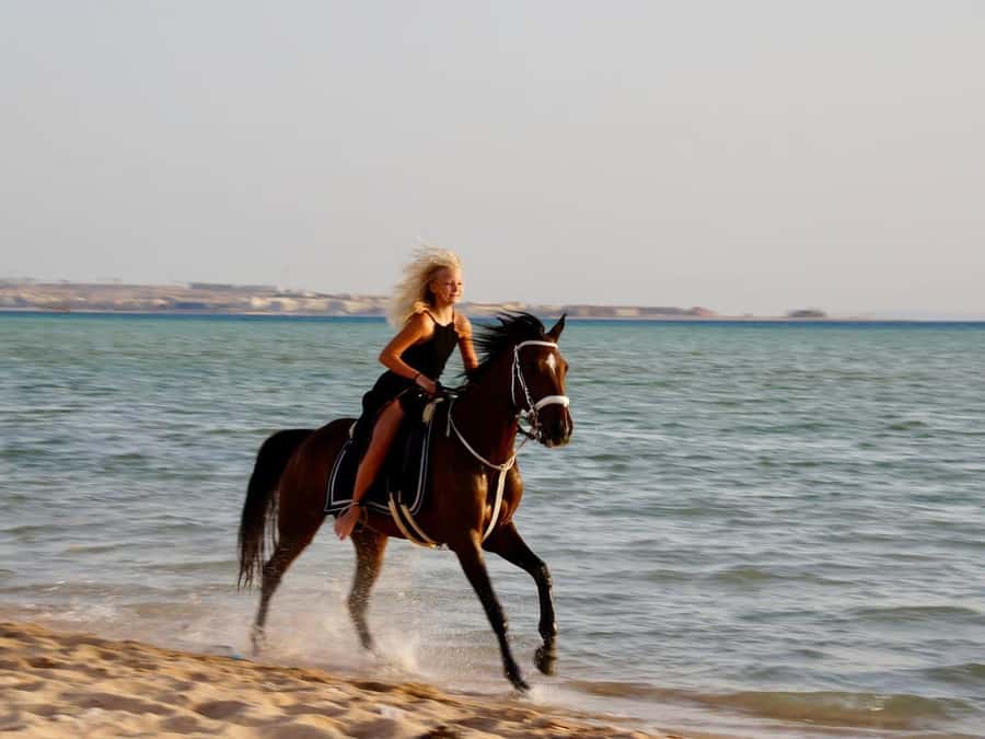 Makadi Bay: Horse Riding in Desert & Sea w Guide + Transfers - Key highlights you will care about