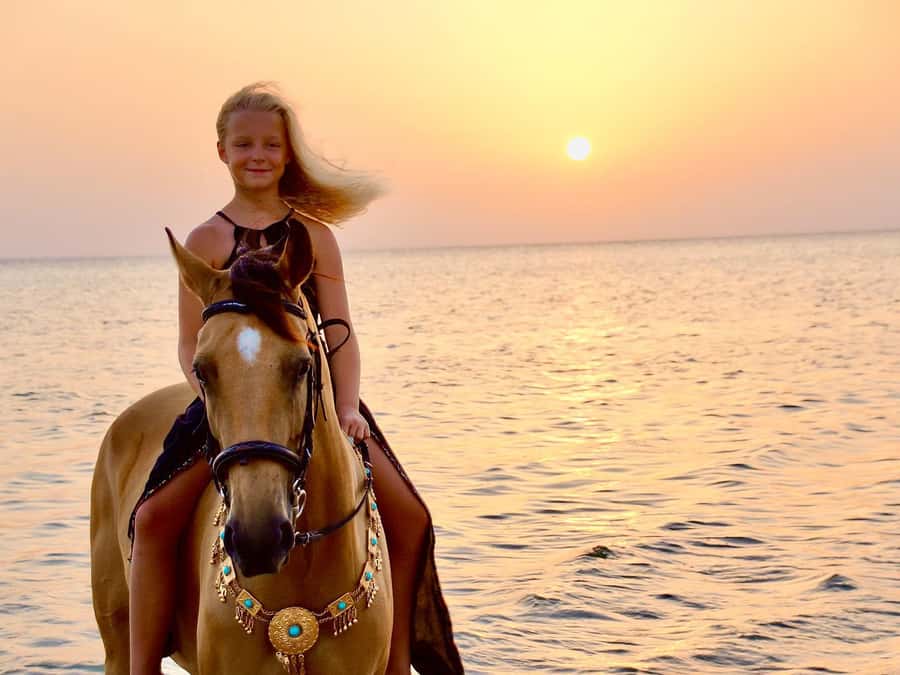 Makadi Bay: Horse Riding in Desert & Sea w Guide + Transfers - From Hurghada pickup to Makadi Bay, and why the timing feels right