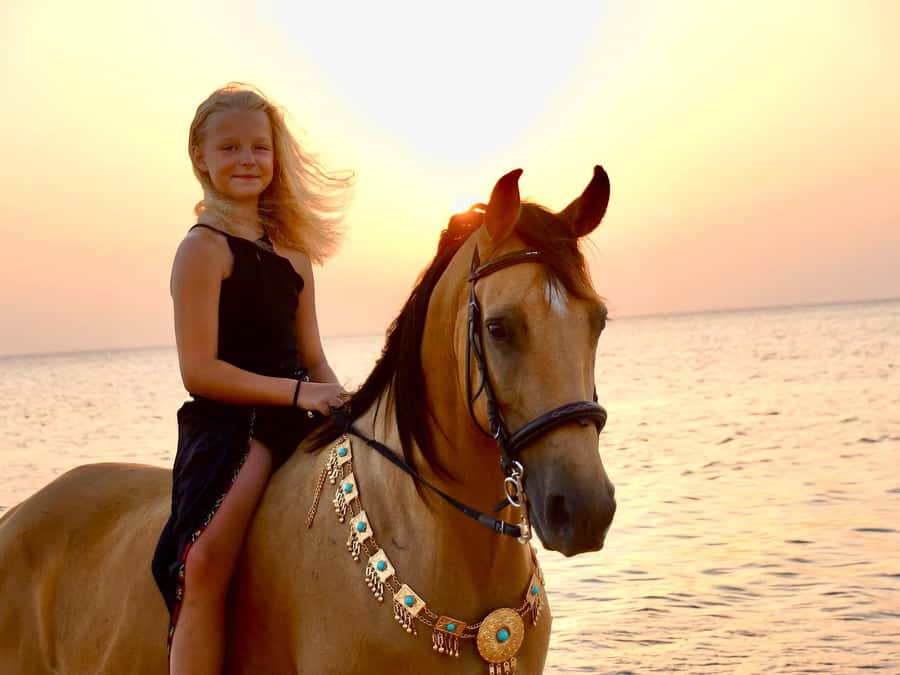 Makadi Bay: Horse Riding in Desert & Sea w Guide + Transfers - Where the Red Sea enters the ride, and what it changes in the experience