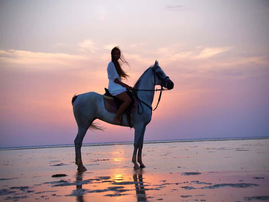 Makadi Bay: Horse Riding in Desert & Sea w Guide + Transfers - Guides, video moments, and the kind of comfort that matters