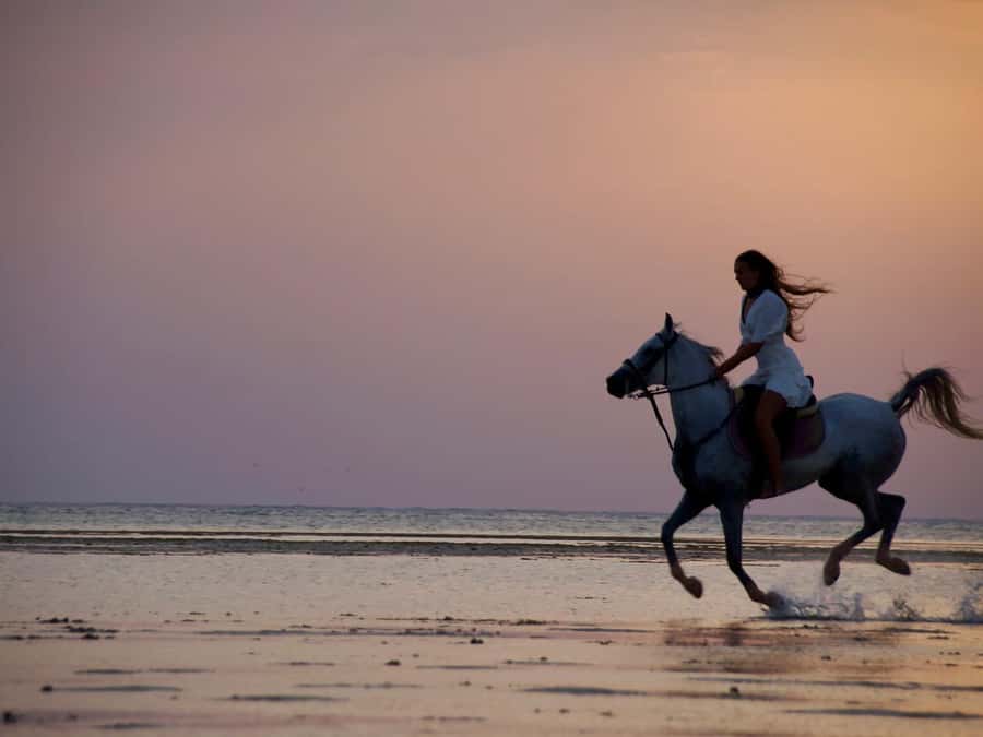 Makadi Bay: Horse Riding in Desert & Sea w Guide + Transfers - Price and value: what $35 buys you in real travel terms