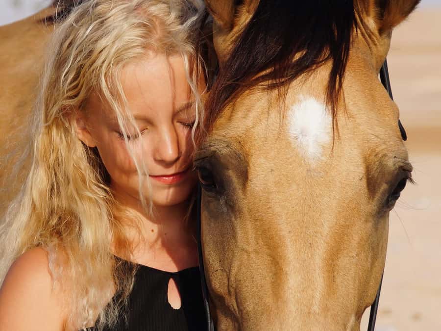 Makadi Bay: Horse Riding in Desert & Sea w Guide + Transfers - Transfers, what to bring, and small checks that prevent big frustrations