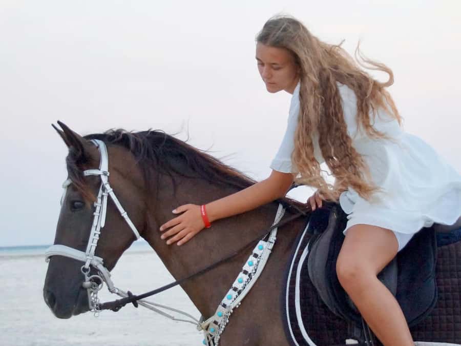 Makadi Bay: Horse Riding in Desert & Sea w Guide + Transfers - Should you book Makadi Bay Horse Riding with Desert and Sea transfers?