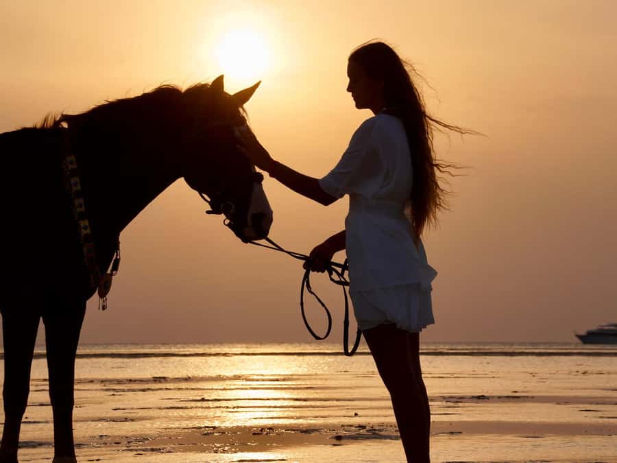 Makadi Bay: Horse Riding in Desert & Sea w Guide + Transfers - Meeting your horse, getting settled, and what the guide actually does