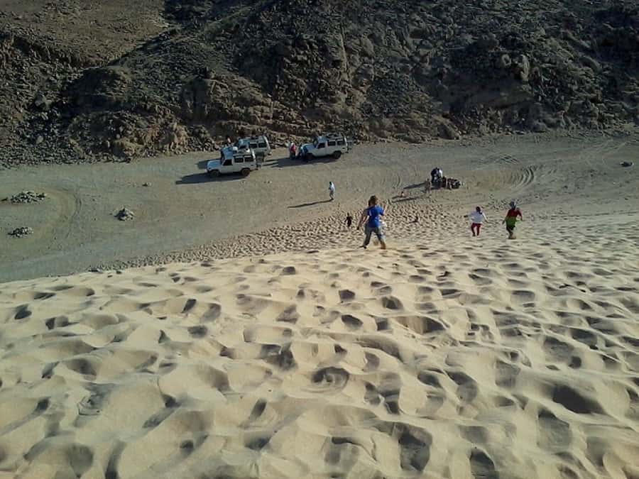 Makadi Bay: Jeep Safari Adventure with Bedouin guide - Who Should Skip It