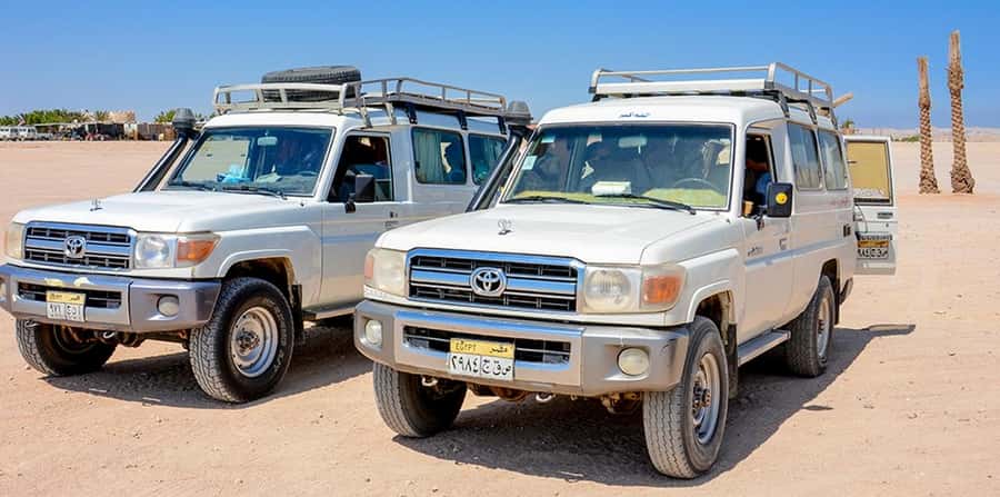 Makadi Bay: Mega Tour Jeep, ATV, Buggy, Camel, Dinner & Show - Buggy time and camel ride: switchbacks, dust, and the real desert feel