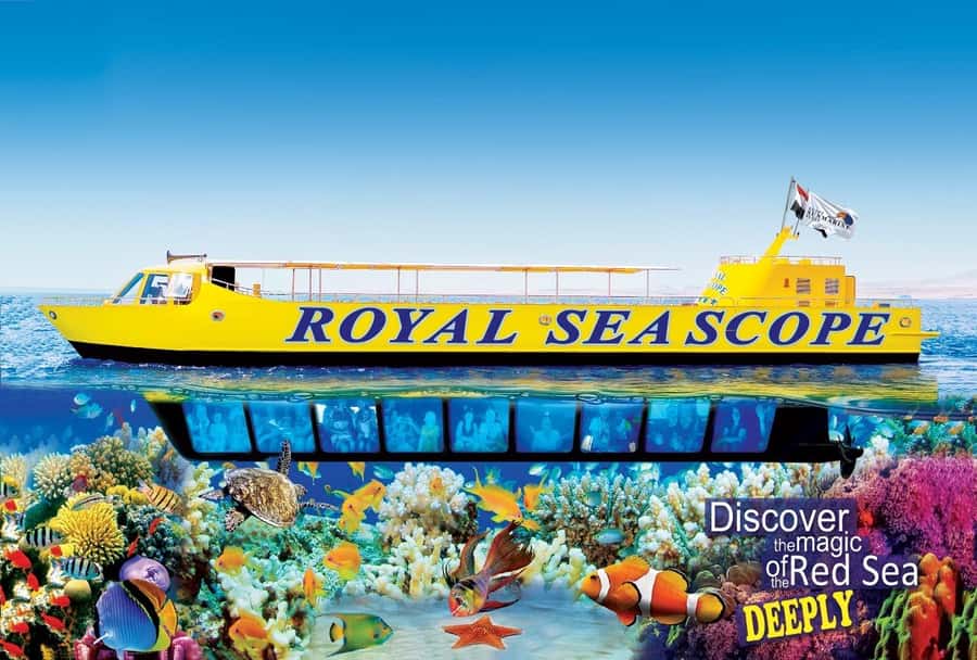 Makadi Bay: Royal Seascope Submarine Cruise & Snorkel stop - What the Royal Seascope semi-submarine experience is really like