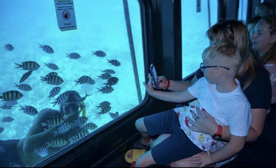 Makadi Bay: Royal Seascope Submarine Cruise & Snorkel stop - Inside the underwater observation deck (about 45 minutes)