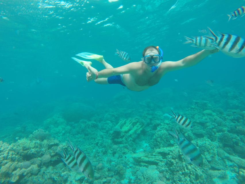 Makadi Bay: Snorkelling and Diving Island Trip - Snorkelling guide and gear: the value behind the included equipment