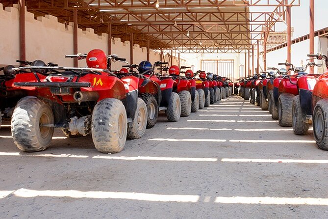 Makadi Bay: Sunset Quad & ATV Adventure & Seaview - The Makadi Bay quad experience, in plain words