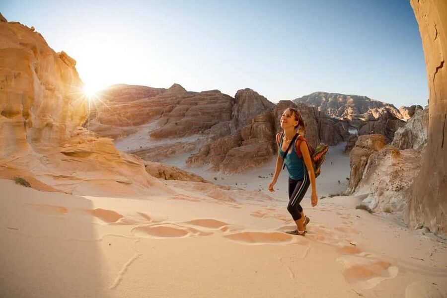 Marsa Alam Bedouin Nights: Jeep Safari, Dinner & Stargazing - Key highlights worth caring about