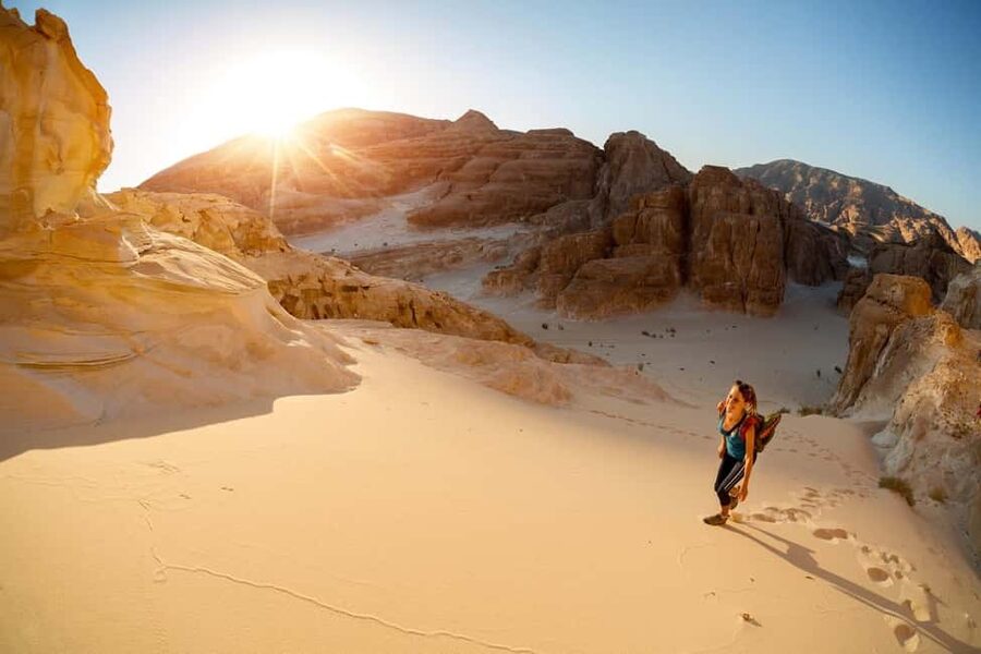 Marsa Alam Bedouin Nights: Jeep Safari, Dinner & Stargazing - Price and fees: how $76 turns into your real total