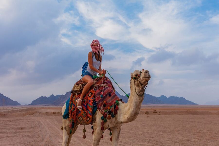 Marsa Alam Bedouin Nights: Jeep Safari, Dinner & Stargazing - Comfort, safety, and who should think twice