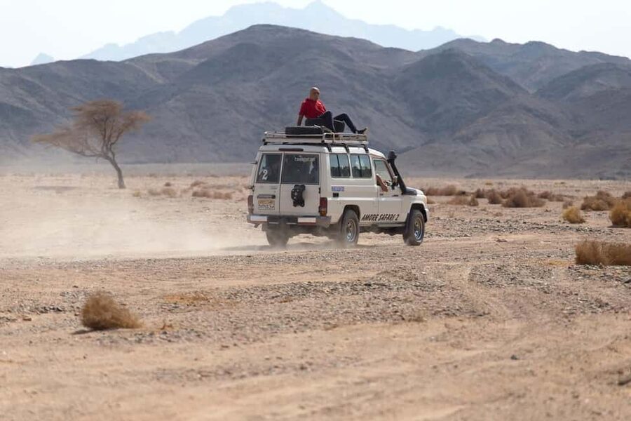 Marsa Alam Bedouin Nights: Jeep Safari, Dinner & Stargazing - Languages, guides, and the kind of group vibe you’ll get