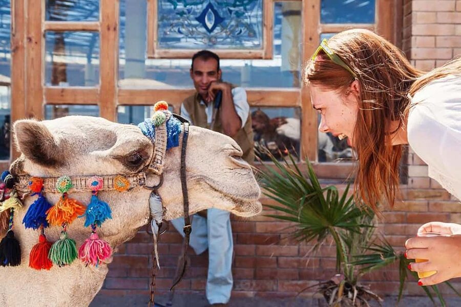 Marsa Alam Bedouin Nights: Jeep Safari, Dinner & Stargazing - Should you book Marsa Alam Bedouin Nights?