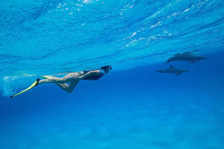 Marsa Alam: Dolphin House Adventure at Shaab Samadai Reef - FAQ