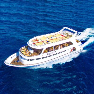 Elite vip Turtle bay snorkeling with BBQ Lunch