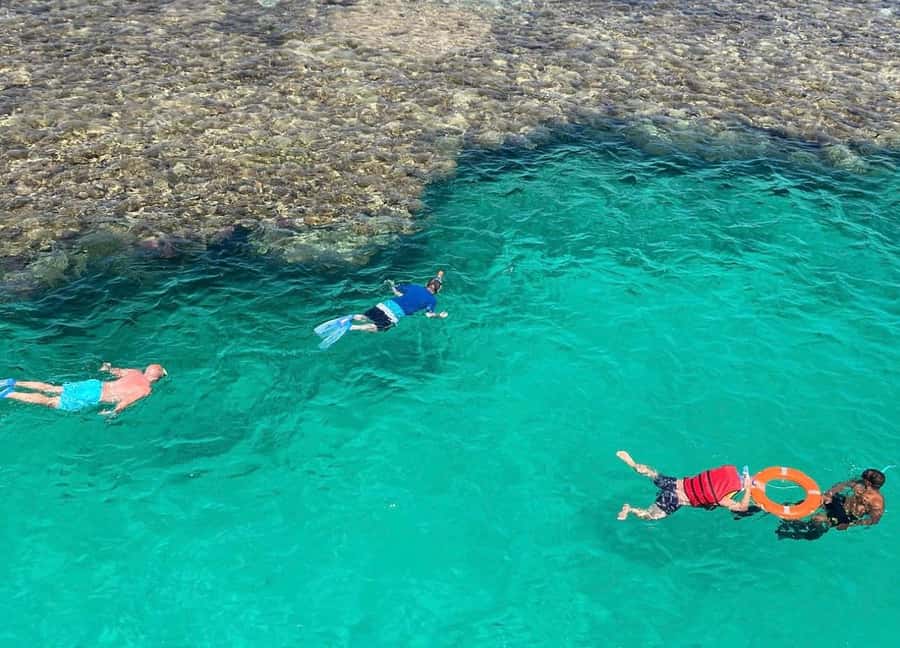 Marsa Alam: Elite vip Turtle bay snorkeling with BBQ Lunch - Price and value: what the $100 includes, and what costs extra