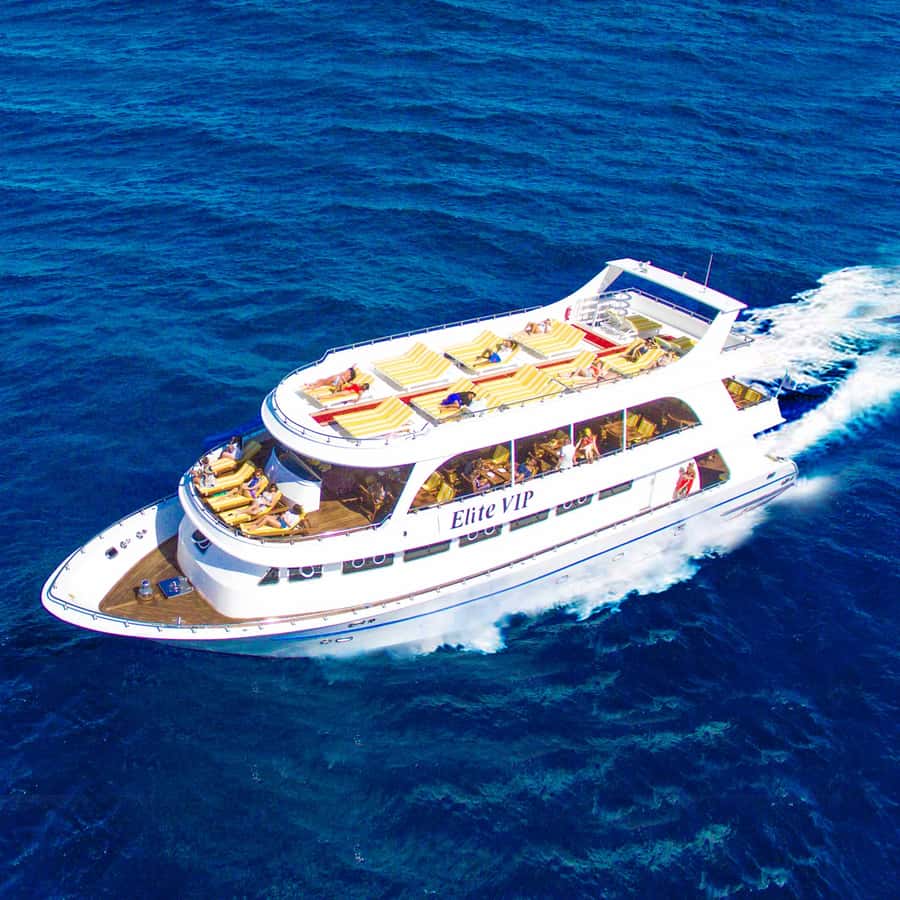 Marsa Alam: Elite vip Turtle bay snorkeling with BBQ Lunch - Snorkeling with guides: Marsa Mubarak and Small Shenwa