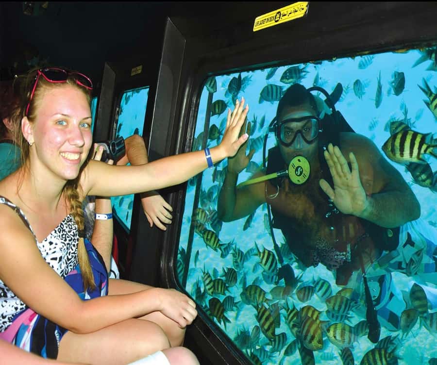 Marsa Alam: Royal Seascope Submarine Cruise with Pickup - The Underwater Observation Deck: Panoramic Windows and Your Seat