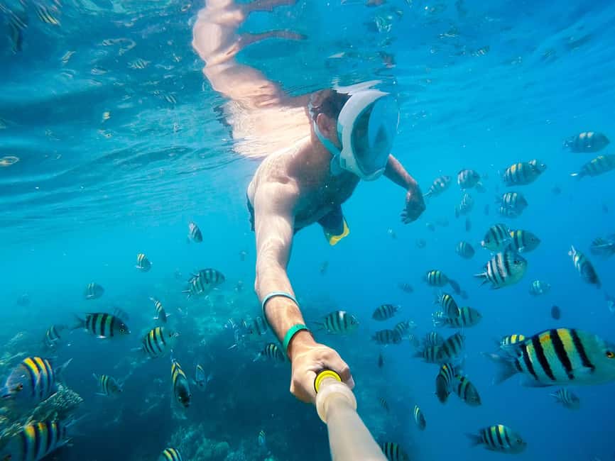 Marsa Alam:Sataya Reefs Dolphin Snorkeling Cruise with Lunch - Sataya Reef Dolphin House: why this spot draws swimmers