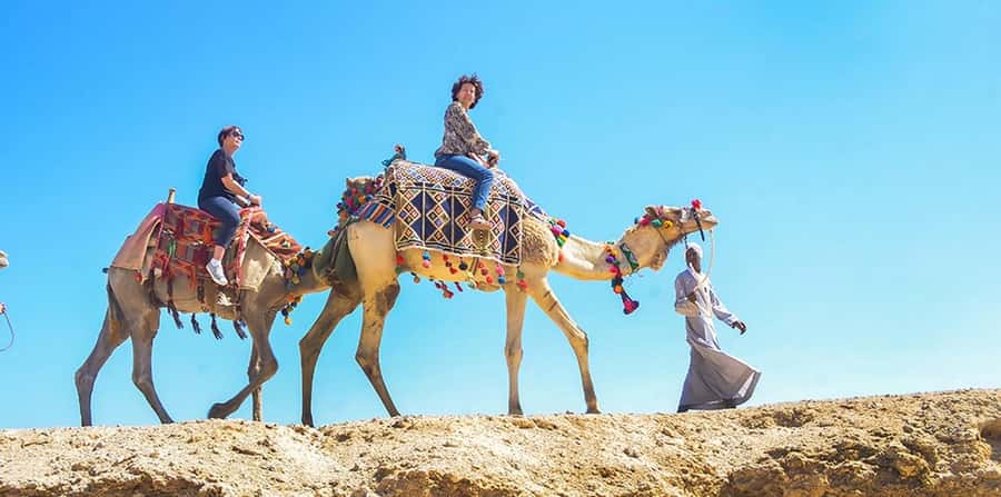 Marsa Alam: Sea and Desert Camel Riding Tour - Quick hits before you go