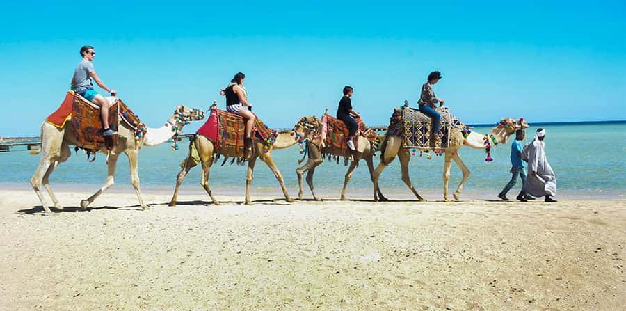 Marsa Alam: Sea and Desert Camel Riding Tour - Why Marsa Alam’s sea and desert camel ride feels worth the time