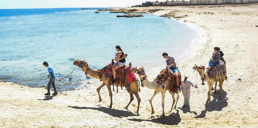 Marsa Alam: Sea and Desert Camel Riding Tour - Getting picked up from Coraya, Port Ghalib, Abu Dabbab, and Marsa Alam City