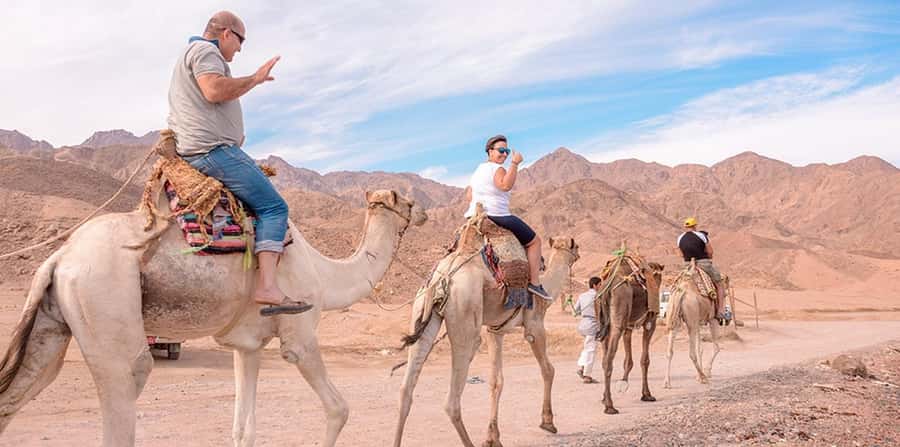 Marsa Alam: Sea and Desert Camel Riding Tour - Safety rules you should actually read before you book