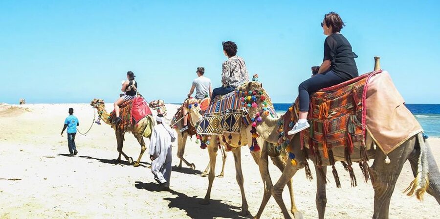 Marsa Alam: Sea and Desert Camel Riding Tour - Price at about $28 per person, and why it can be good value