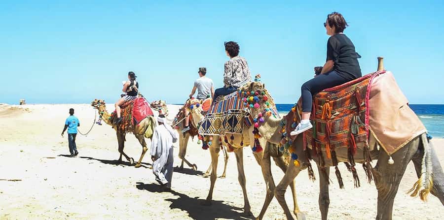Marsa Alam: Sea and Desert Camel Riding Tour - What to bring, and what to wear for a comfortable desert ride