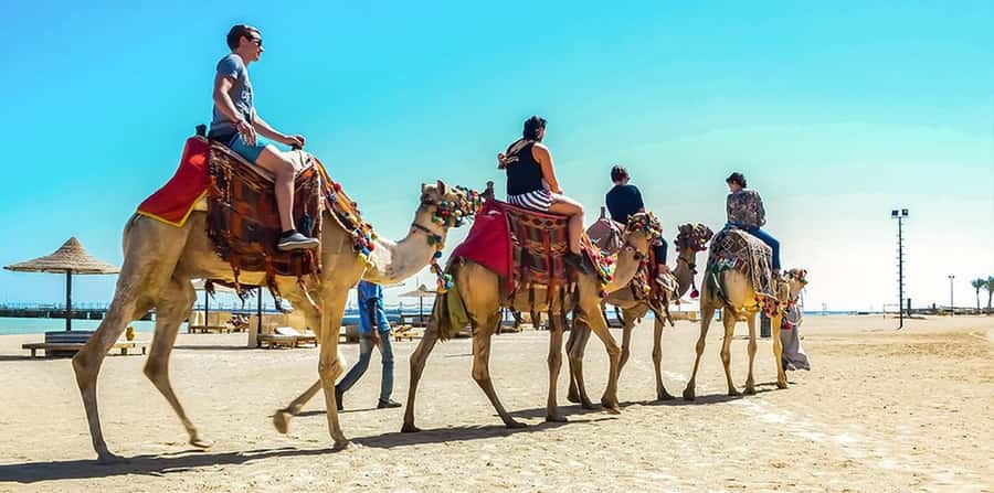 Marsa Alam: Sea and Desert Camel Riding Tour - Pick your departure time, then plan your weather and photos