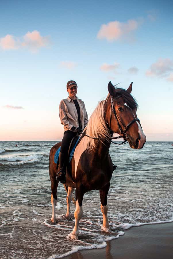 Marsa Alam: Sea and Desert Horse Riding Tour - Key Points That Make This Tour Worth Your Time