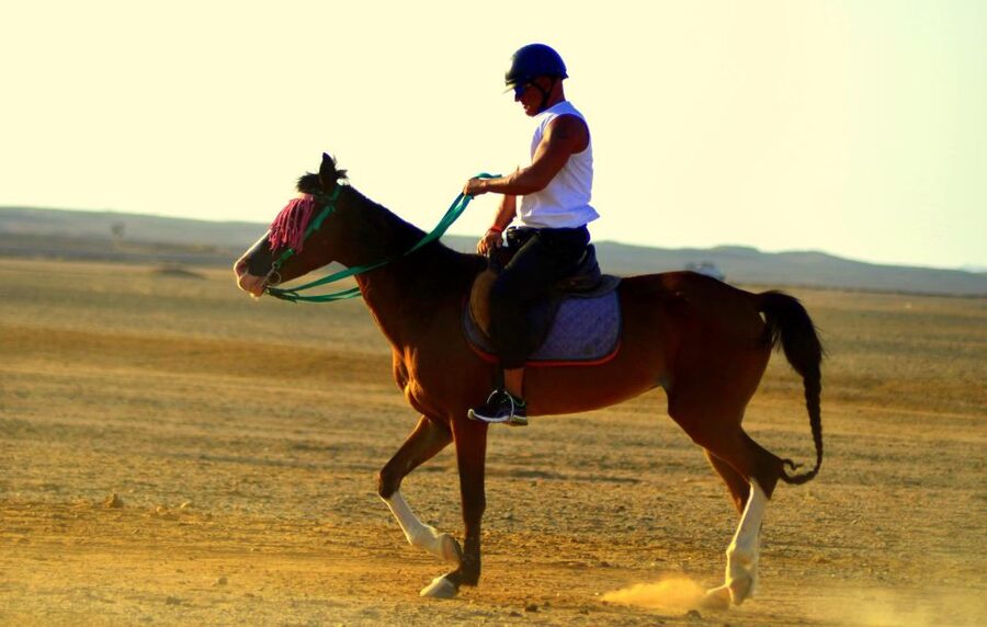 Marsa Alam: Sea and Desert Horse Riding Tour - Getting There Smoothly: Finding the Stables and Your Guide