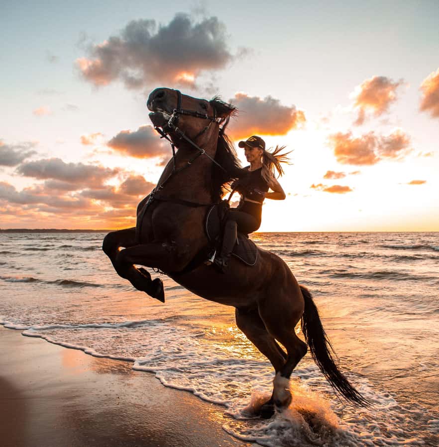 Marsa Alam: Sea and Desert Horse Riding Tour - Desert and Sea in One Half-Day: What the Ride Feels Like