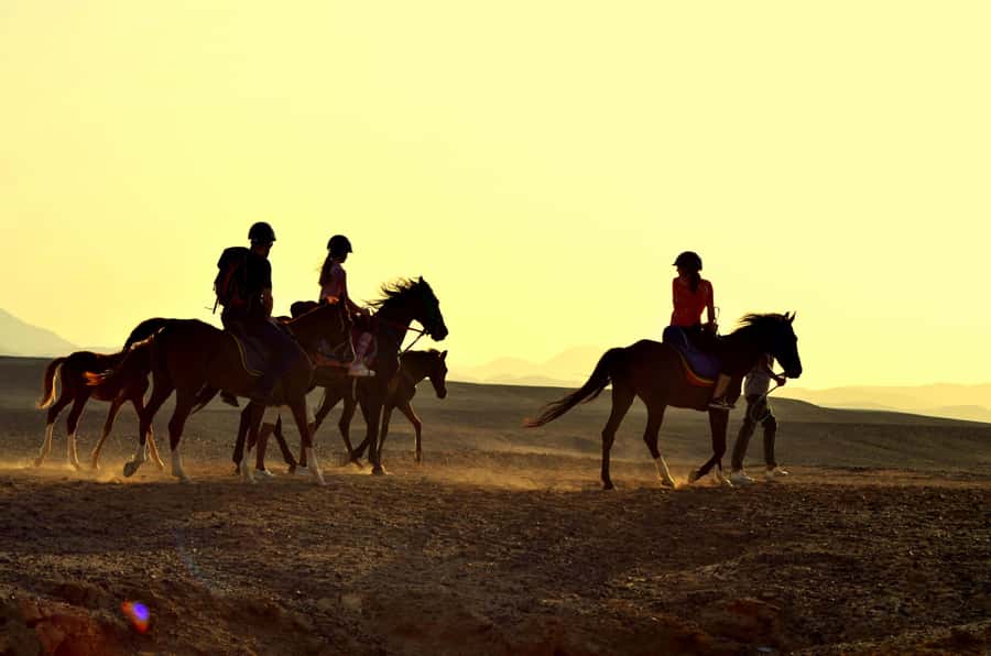 Marsa Alam: Sea and Desert Horse Riding Tour - How the 2-Hour Tour Works: Desert Trails Plus Coastal Paths