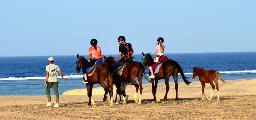 Marsa Alam: Sea and Desert Horse Riding Tour - VIP 4-Hour With Sea Swim: The Moment You Will Remember