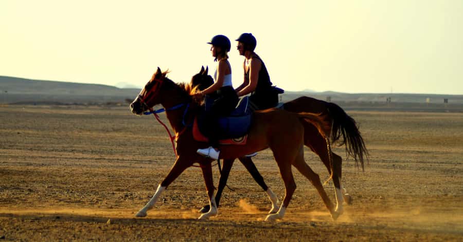 Marsa Alam: Sea and Desert Horse Riding Tour - Choosing Your Departure Time: Sunrise Breakfast, Golden Hours, or Sunset