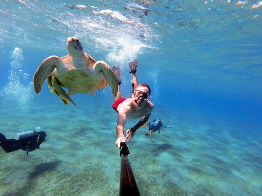 Marsa Alam: Snorkeling with Sea Turtles Marsa Mubarak - Key points to know before you go