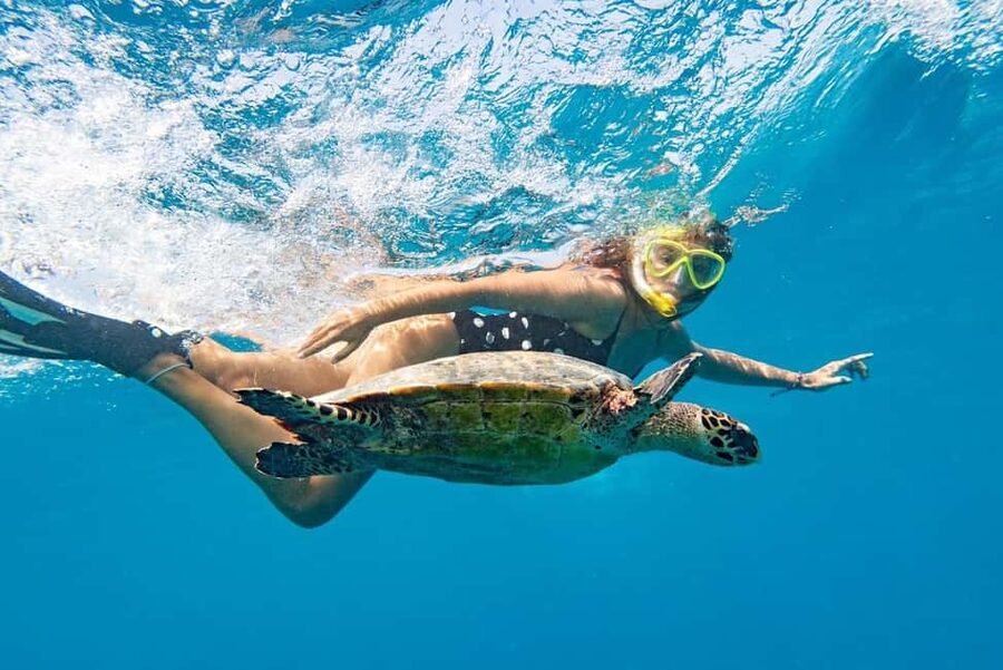 Marsa Alam: Snorkeling with Sea Turtles Marsa Mubarak - The Boat Day Flow: Snorkel Sessions, Lunch, and Time on Deck
