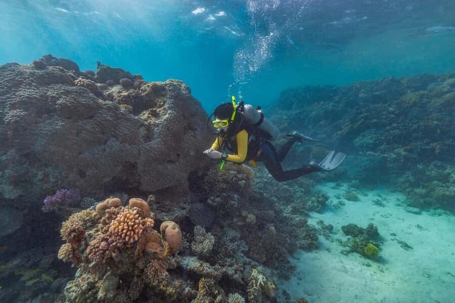 Marsa Alam: Snorkeling with Sea Turtles Marsa Mubarak - How the Guide Runs the Group: Helpful, But Sometimes Less Free