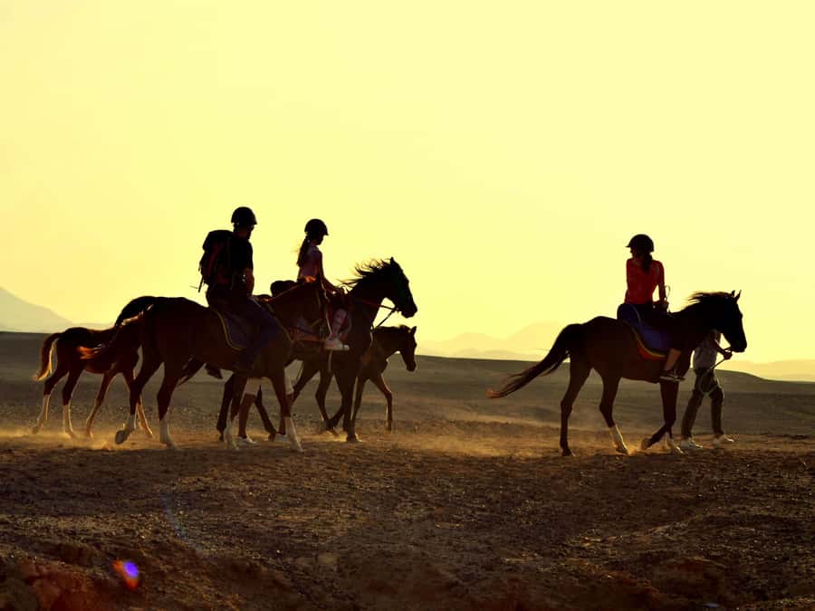 Marsa Alam: Sunrise Horseback with Breakfast - Key things to know before you go