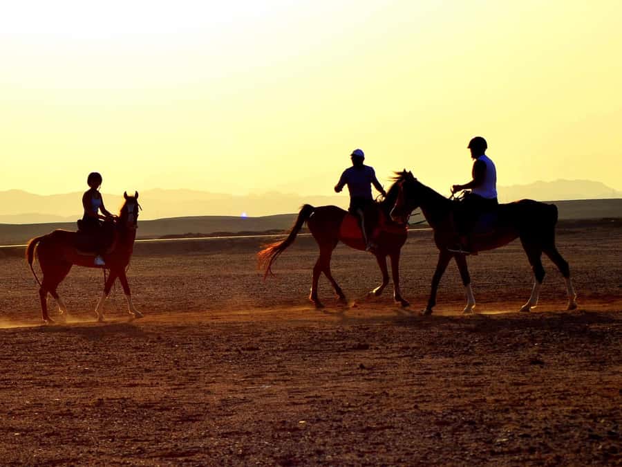 Marsa Alam: Sunrise Horseback with Breakfast - The stables, meeting point, and how pickup can affect your timing