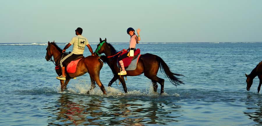 Marsa Alam: Sunrise Horseback with Breakfast - What the 2-hour ride with breakfast feels like