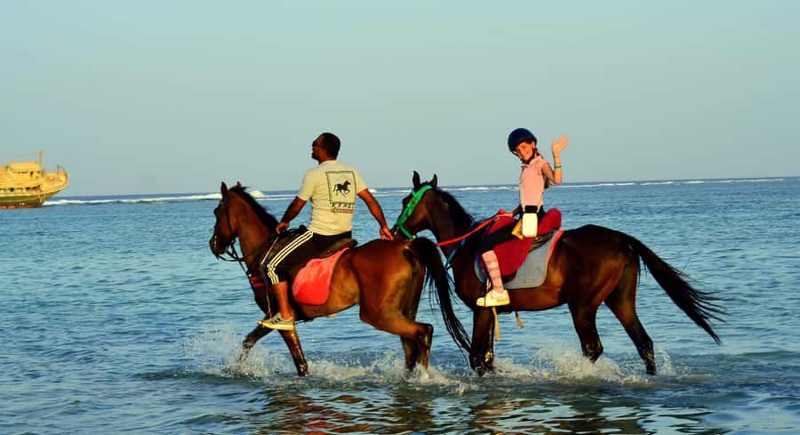 Marsa Alam: Sunrise Horseback with Breakfast - Photos, guides, and keeping the ride feeling calm