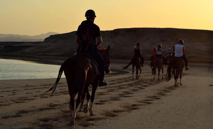 Marsa Alam: Sunset Horseback with Dinner, Show & Stargazing - Bedouin camp dinner and the live show