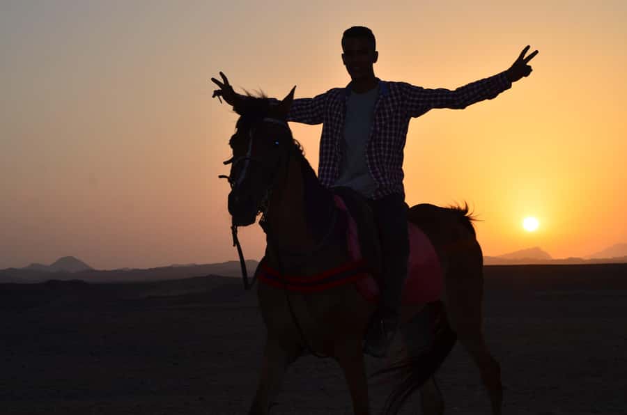 Marsa Alam: Sunset Horseback with Dinner, Show & Stargazing - What to wear and bring for comfort (and photos)